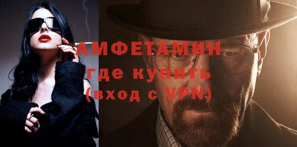 гашик Пересвет