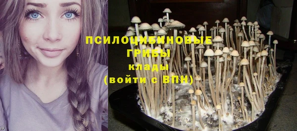 mix Абаза