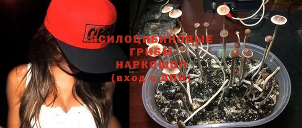 mix Абаза